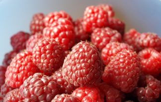 Himbeere spätfruchtend